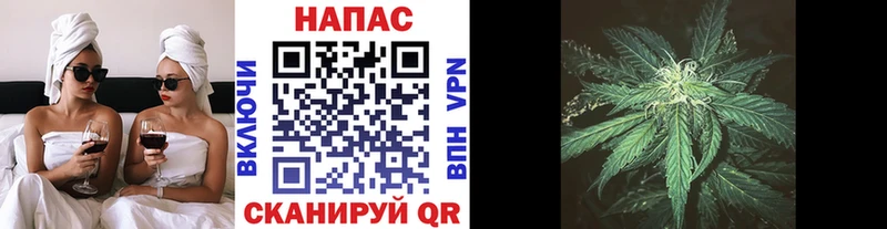 omg ссылки  мориарти как зайти  Бошки марихуана OG Kush  Цимлянск 